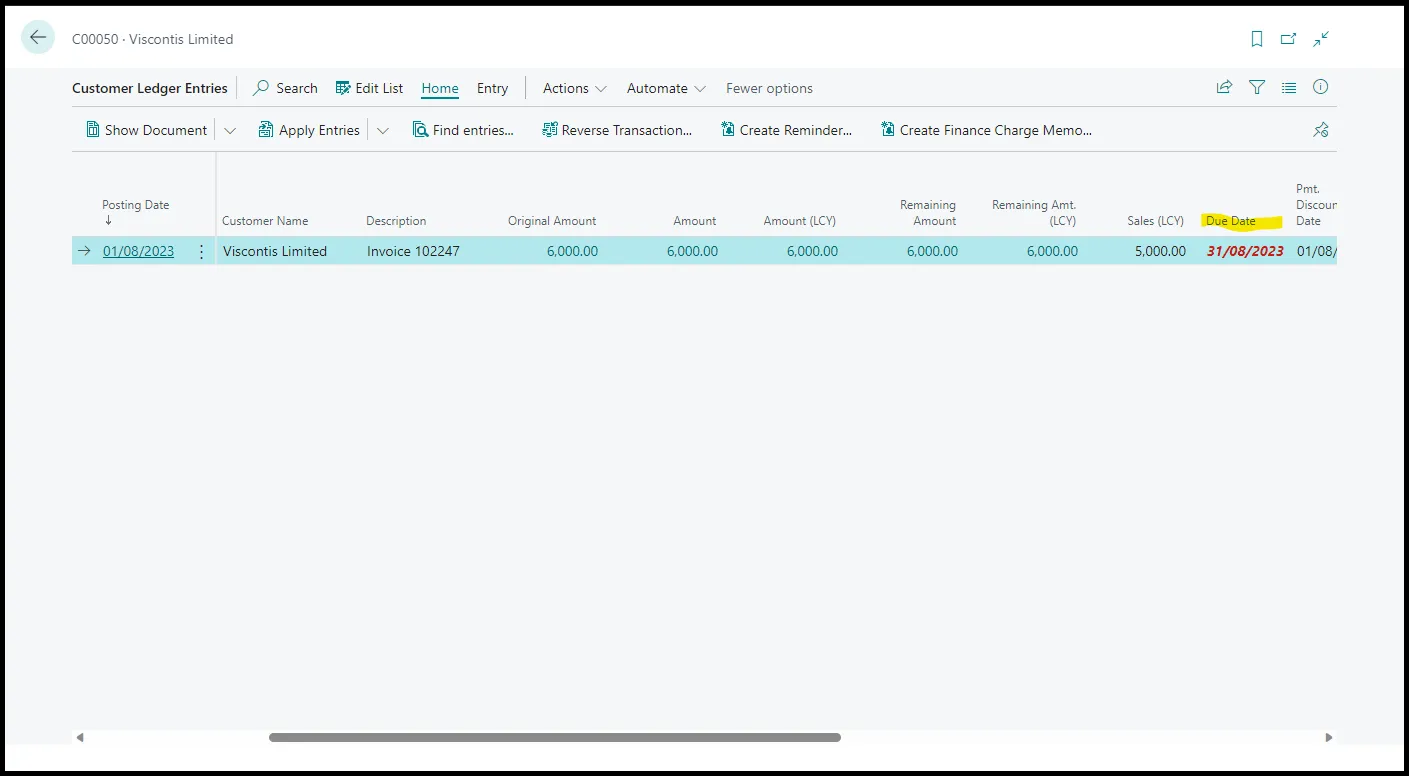 Customer Ledger Entry